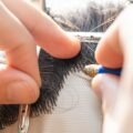 Chinese Beauty Product Exports Surge Despite US Trade Dispute